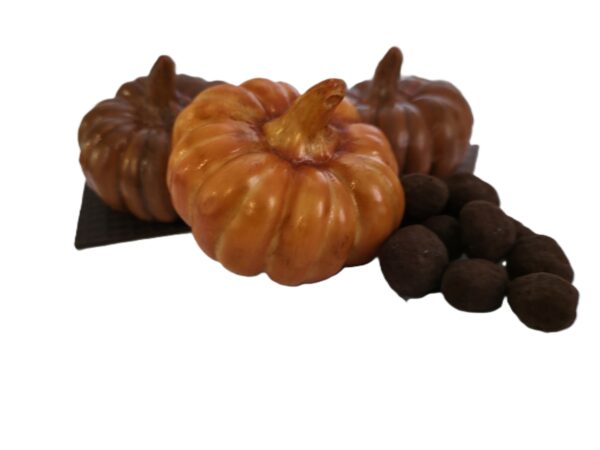 Citrouille d'Automne Noir, Lait ou Blanc