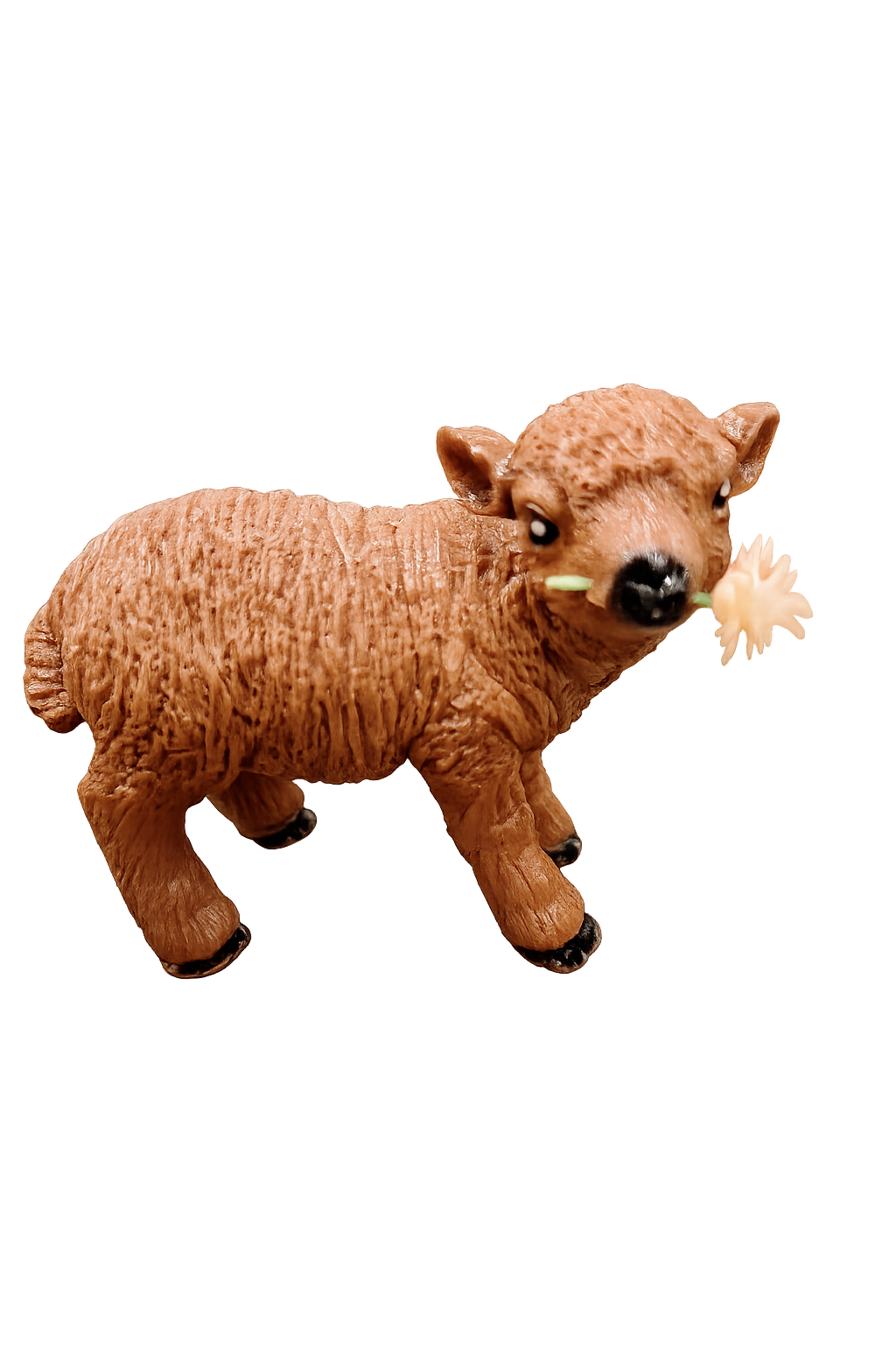 L'Agneau Noir, Lait ou Blanc Petit Modèle